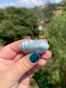 Larimar Shell Cabochon 105X