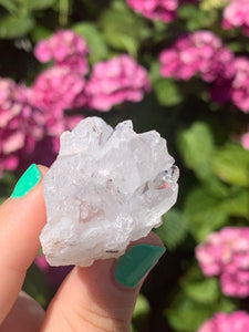 Pink Lemurian Cluster