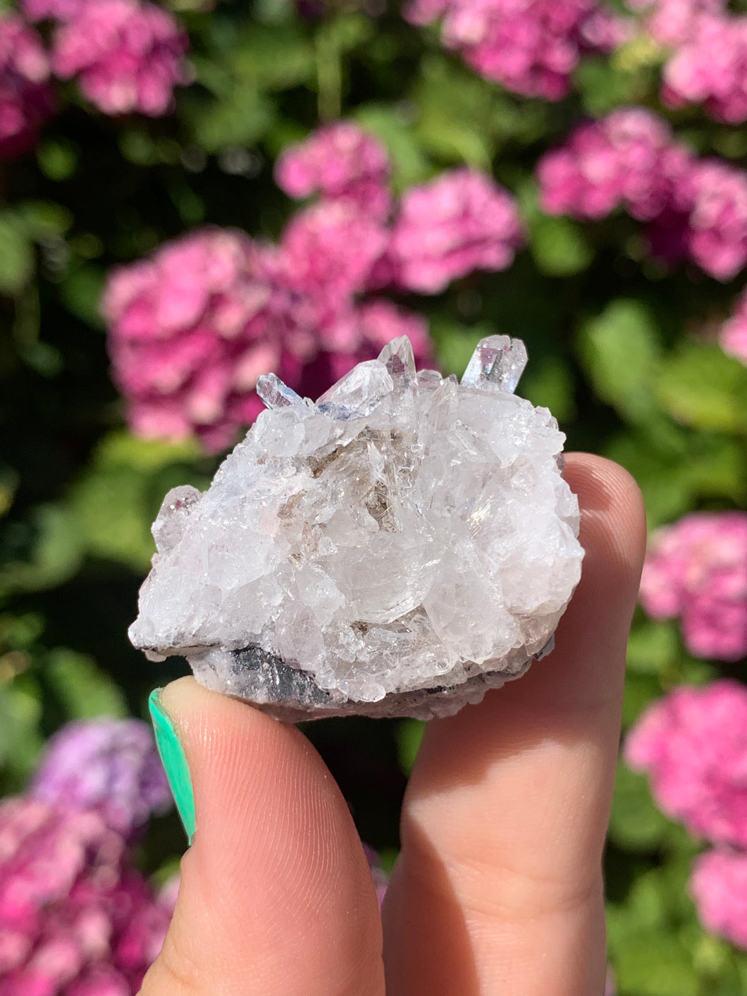 Pink Lemurian Cluster