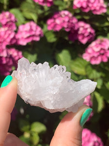 Pink Lemurian Cluster