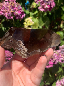 Smokey Quartz W Lodolite Rough Back