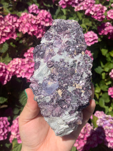 Lepidolite Cluster w Light Citrine