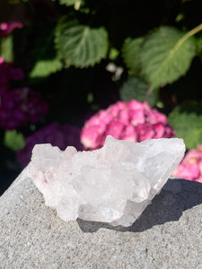 Pink Lemurian Cluster