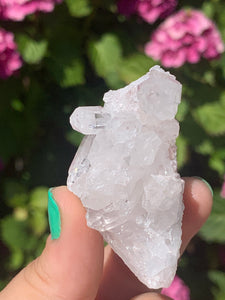 Pink Lemurian Cluster