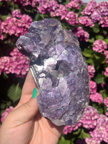 Lepidolite Cluster