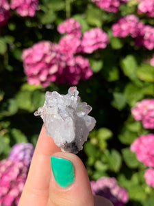 Pink Lemurian Cluster