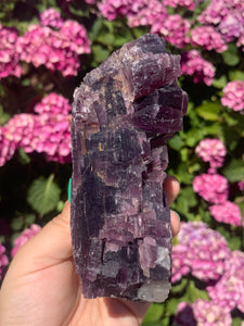 Lepidolite Cluster