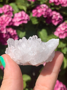 Pink Lemurian Cluster