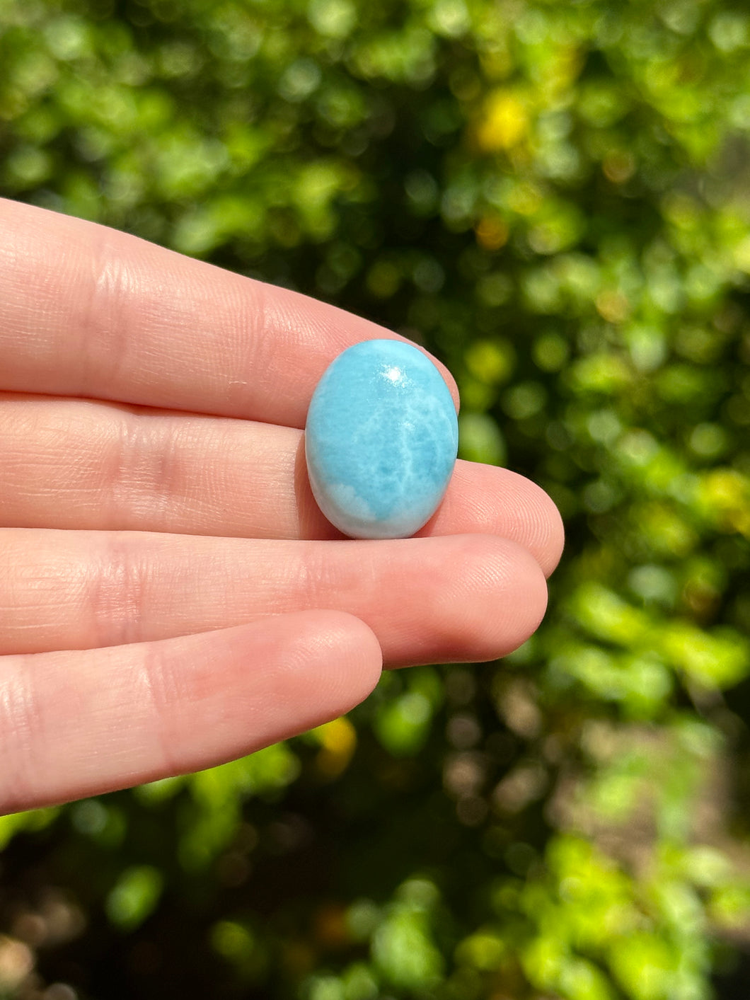 Larimar Cab