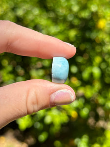 Larimar Cab