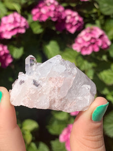 Pink Lemurian Cluster