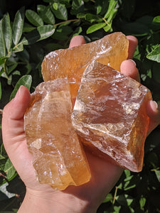 Honey Calcite 1 Intuitively Selected*