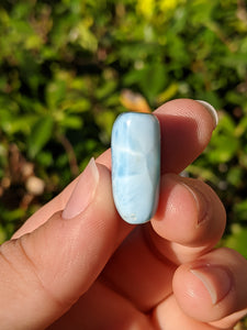 Larimar Rounded Rectangle