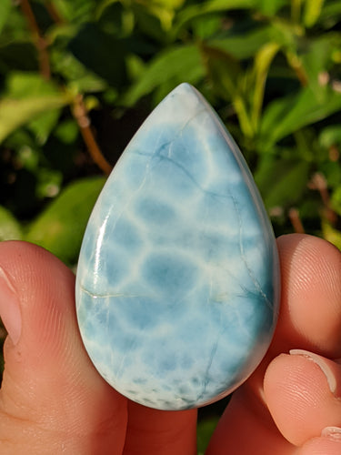 Large Larimar Rounded Tear Drop* #26