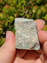 Load image into Gallery viewer, Amazonite Rough*