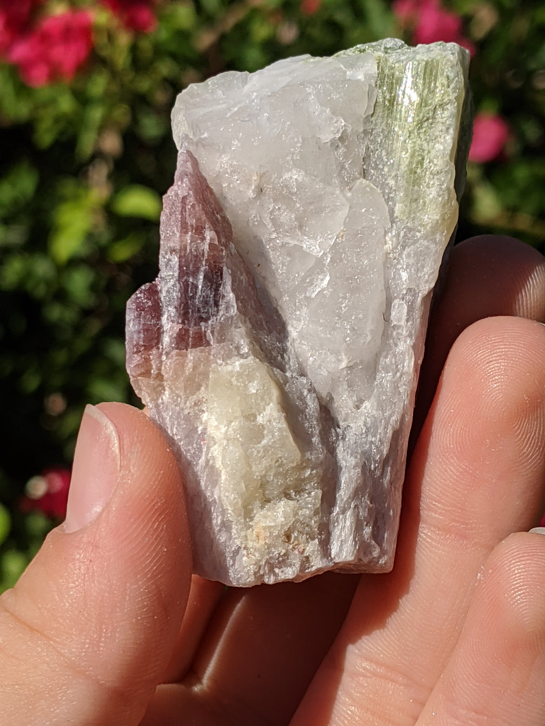 Watermelon Tourmaline