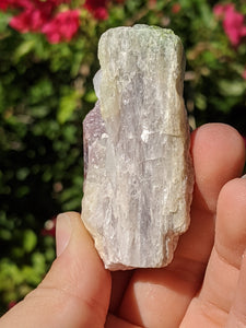 Watermelon Tourmaline