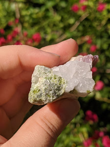 Watermelon Tourmaline