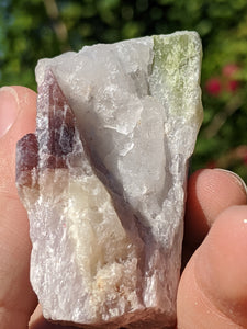 Watermelon Tourmaline