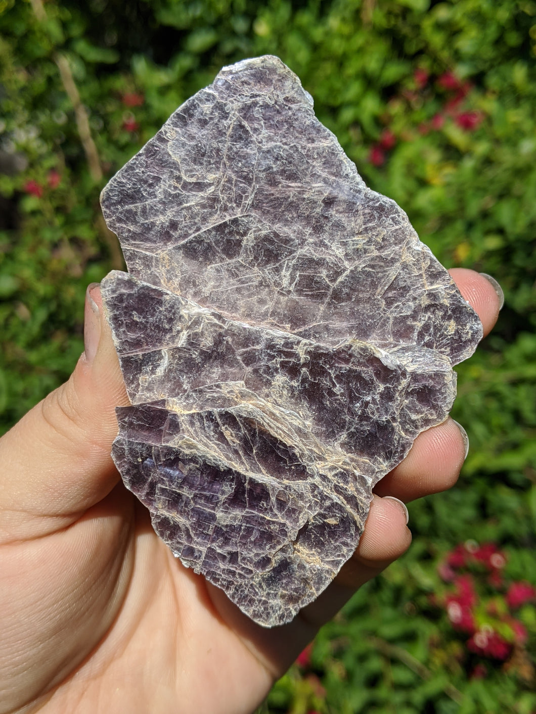 Lepidolite Cluster