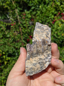 Lepidolite Cluster