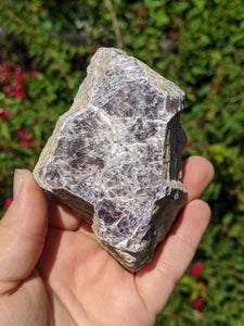 Lepidolite Cluster