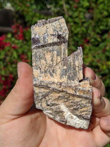 Lepidolite Cluster