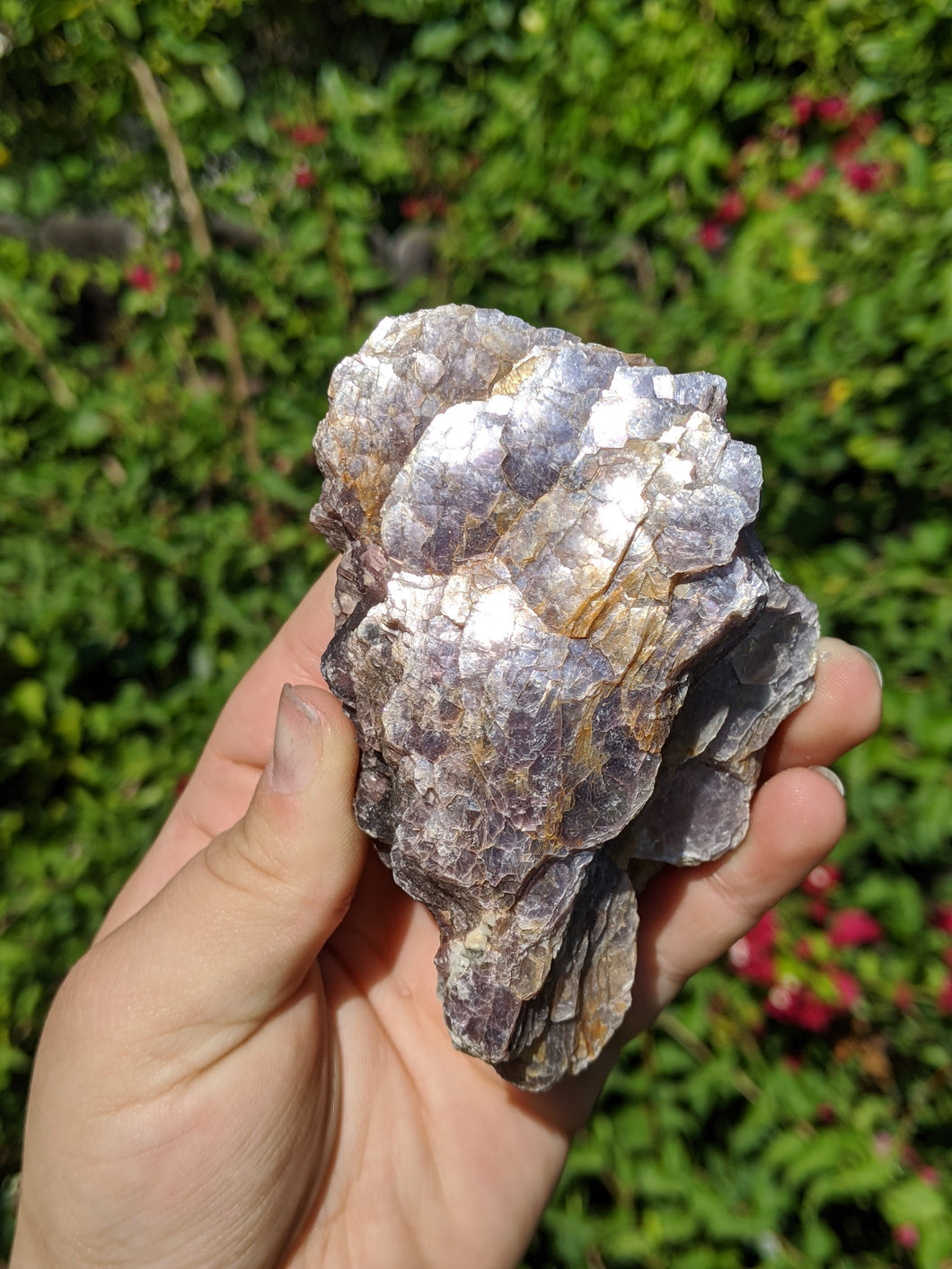 Lepidolite Cluster