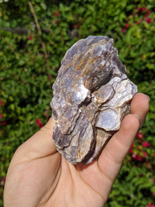 Lepidolite Cluster