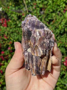 Lepidolite Cluster