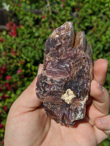 Lepidolite Cluster