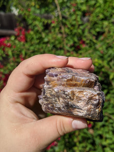 Lepidolite Cluster