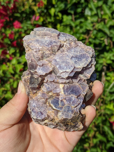 Lepidolite Cluster