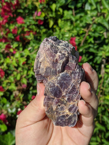 Lepidolite Cluster