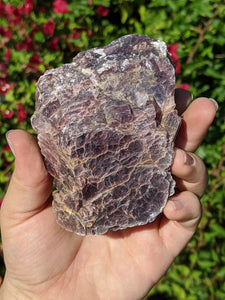 Lepidolite Cluster