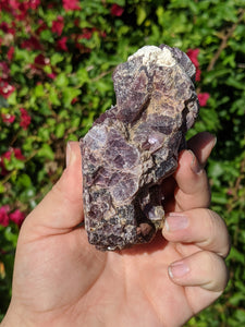 Lepidolite Cluster