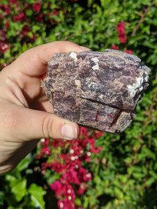 Lepidolite Cluster