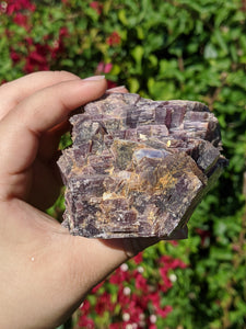 Lepidolite Cluster