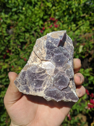 Lepidolite Cluster