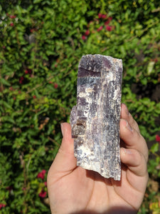 Lepidolite Cluster