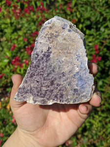 Lepidolite Cluster