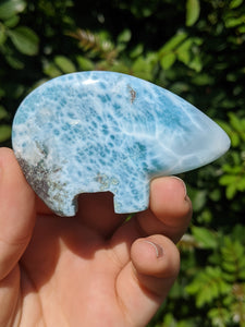 Large Larimar Bear*