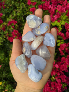 1 Blue Lace Agate Tumble