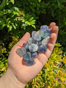 1 Mini Raw Blue Green Fluorite