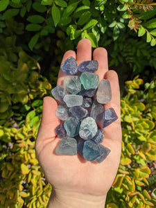 1 Mini Raw Blue Green Fluorite