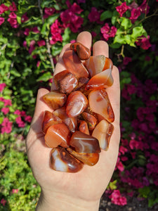 1 Carnelian Tumble