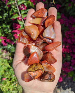 1 Carnelian Tumble