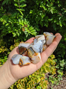 1 Dendritic Agate Tumble