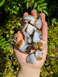 1 Dendritic Agate Tumble