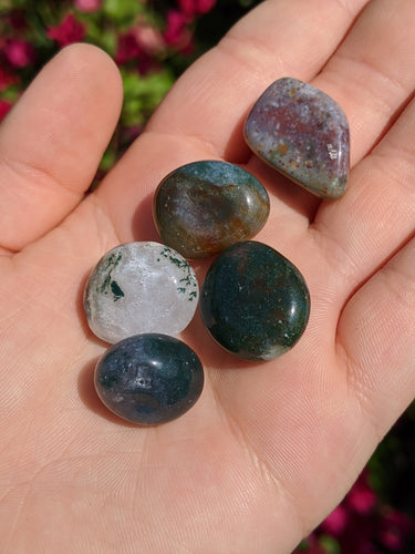 Mixed Agate Bundle of 5